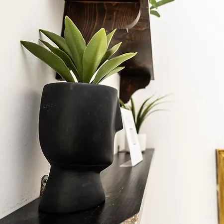 Maison D'art Orleans Daire